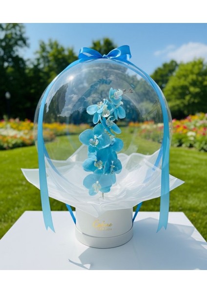 Kişiye Özel Mesajlı Beyaz Orkide Hediye Kutusu Öğretmenler Günü Sevgililer Günü Doğum Günü Hediyesi fiyatları