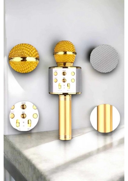 Taşınabilir Bluetooth Karaoke Mikrofon: Hafıza Kart Girişli, Etkileyici Performans fiyatları