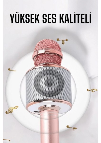 Taşınabilir Bluetooth Karaoke Mikrofon: Hafıza Kart Girişli, Etkileyici Performans fırsatları