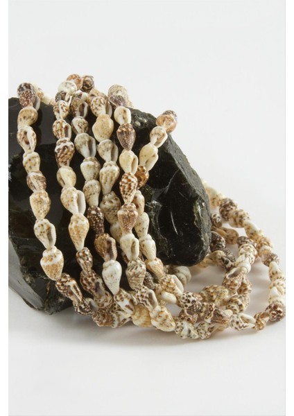 Istiridye Deniz Kabuğu 1 Dizi fiyatları