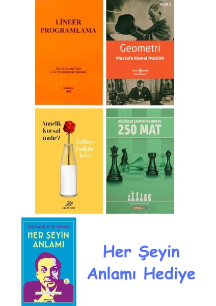 Lineer Programlama + Geometri + Annelik Kutsal Mıdır? + Küçükler Şampiyonasından 250 Mat + Her Şeyin Anlamı