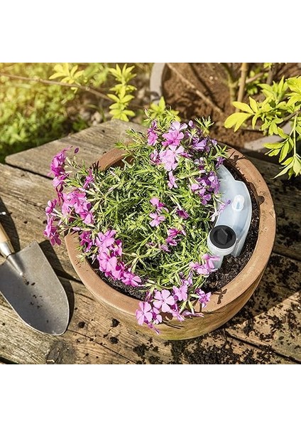 Plantpal Otomatik, Su Sebili Sulama Yardımcısı, Sulama Sistemi, 550 Ml, 5 x 13,5 x 24 Cm, 07063, Şeffaf indirimleri