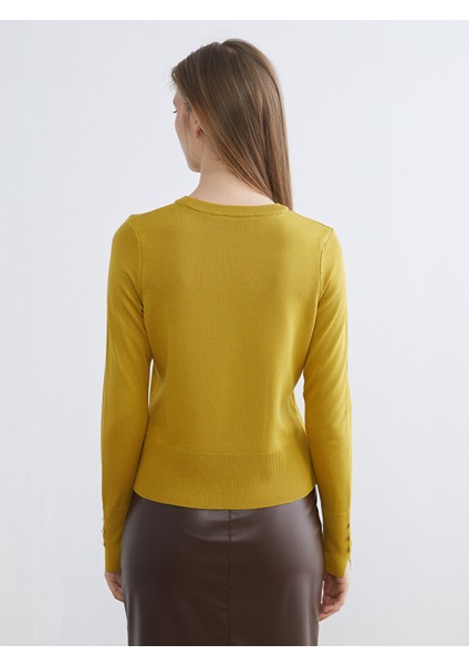 Yeni Sezon Bisiklet Yaka Kadın Triko Kazak fırsatları