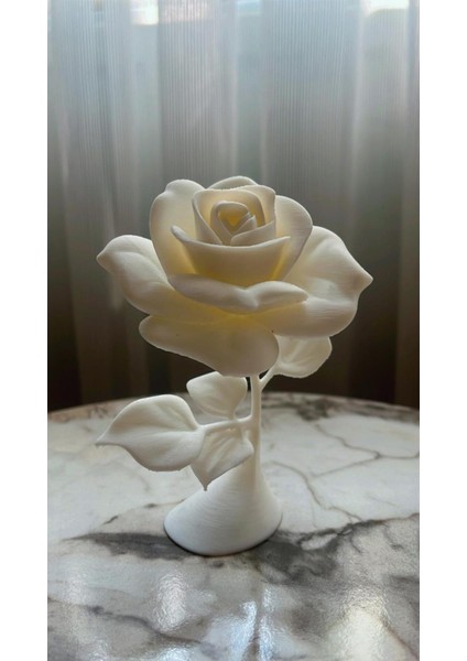 Gül Plastik Dekoratif