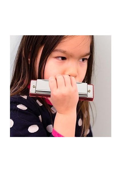 Diatonik Mızıka 10 Delikli Blues Harp Ağız Organı Taşıma Çantasıyla Profesyoneller, Yeni Başlayanlar ve Öğrenciler Için indirimleri