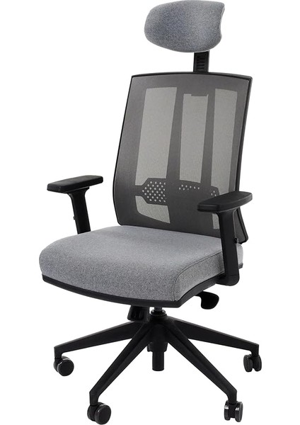 Ofis Tiffany Bel Destekli Müdür Koltuğu - Antrasit