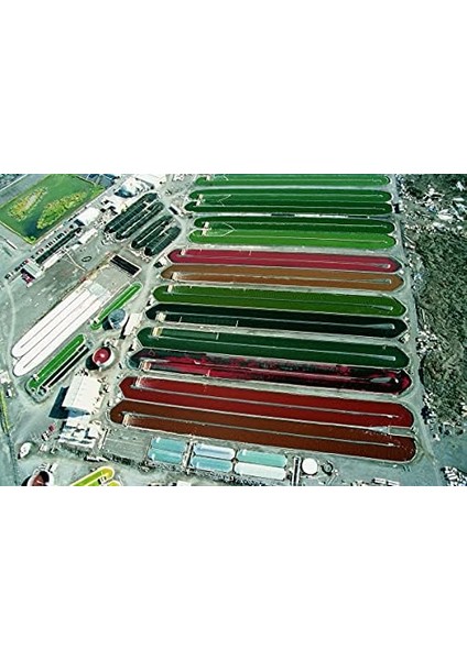 Hawaiian Spirulina Pacifica - 200TABLETX500MG - NET:100G Cam Kavanoz Hawaii'den Spirulina Raw Vegan Superfood TETT:31.7.2026