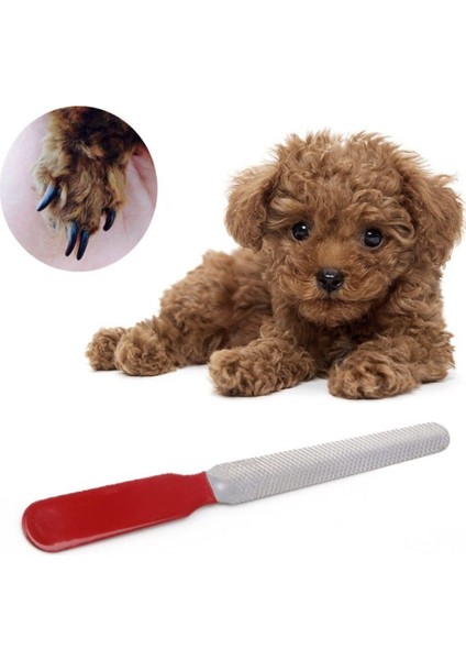 Evcil Hayvan Tırnak Makası ve Törpü Seti Manikür Pedikür Pati Bakım Aleti Kaymaz Sap (4940) indirimleri