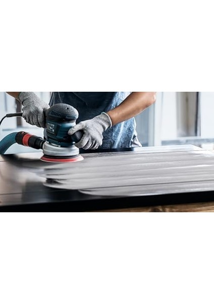 Professional 1x Expert Multihole Taban Üniversal (Tipler Orta, Ø 150 Mm, Aksesuar Titreşimli Zımpara Makinesi) fiyatları