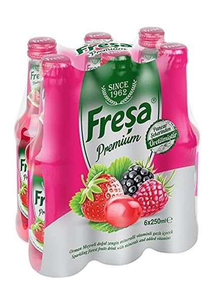 Freşa Premium Orman Meyve, (24 x 250 Ml)