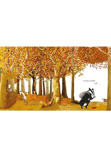 Book And CD Pack modelleri