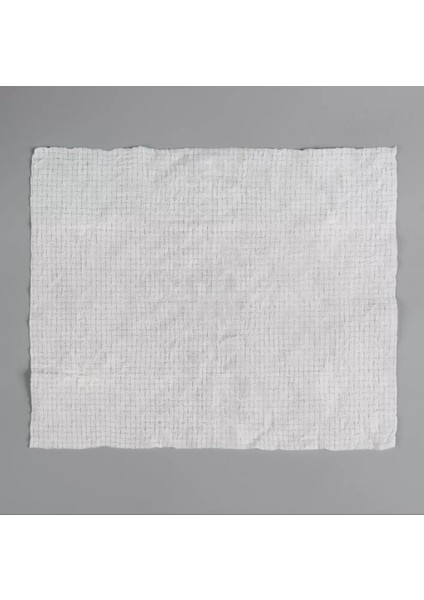 Suda Büyüyen Sıkıştırılmış Mendil 20 Adet fiyatları