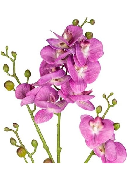 Yapay Orkide Gerçek Dokulu Mor 80 Cm. fiyatları