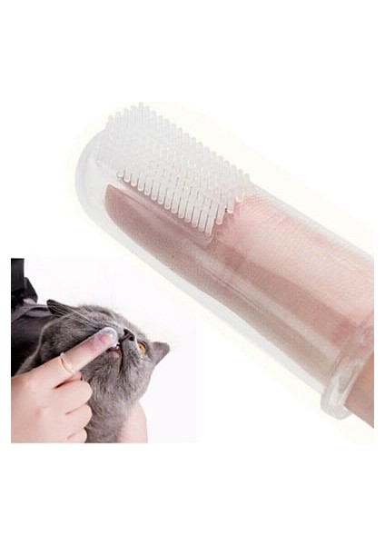 Kedi Köpek Diş Temizleme Fırçası modelleri