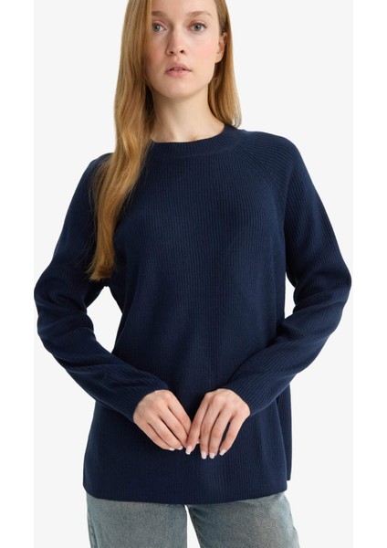 Regular Fit Bisiklet Yaka Basic Düz Triko Kazak D6911AX25WN