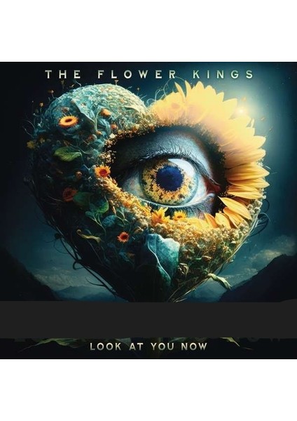The Flower Kıngs - Look At You Now - 2 Plak