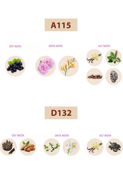 Bacera A115 Floral Kadın Parfüm 50ML Edp D132 Oriental Kadın Parfüm 50ML Edp fiyatları