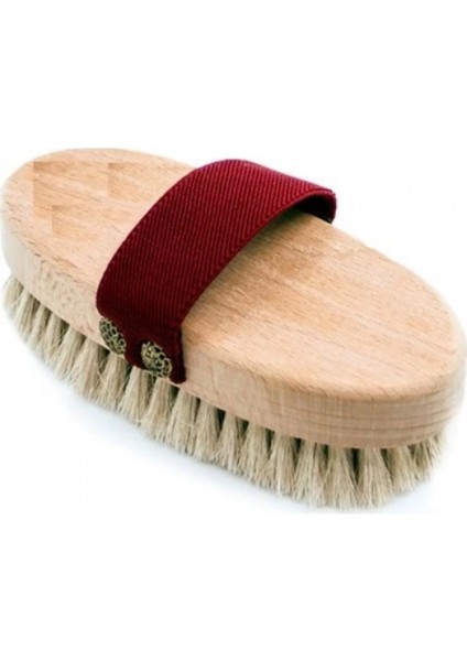 At Kılı Elbise Fırçası fiyatları