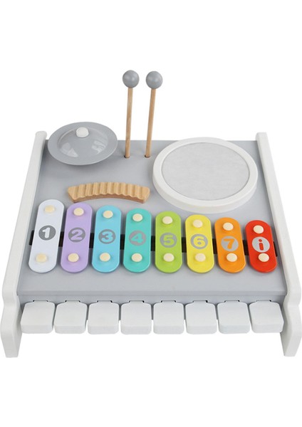 Montessori Müzik Aletleri Metal Ksilofon (Yurt Dışından)