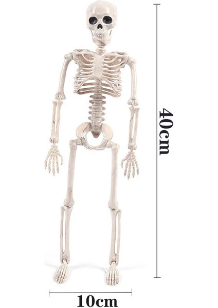 I Iskeleti Çim Dekorasyon Koleksiyonu (Yurt Dışından) fiyatları