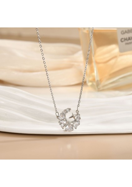 Yeni Titanyum Çelik Kolye Kadın Mizaç Mikro-Set Zirkonya Kişilik Kıdemli Köprücük Kemiği Duygusu Zincir Takı (Yurt Dışından)