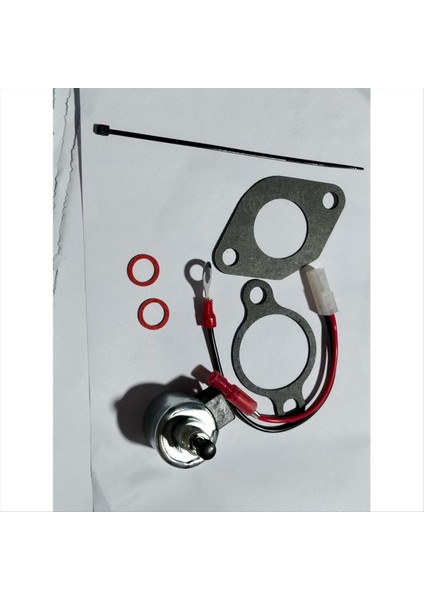 Yeni Bahçe Biçme Parçaları Solenoid Valf Yakıt Solenoid 12-757-09 1275733 Hat Binicilik Biçme Biçim Solenoid Onarım Kiti (Yurt Dışından) fırsatları