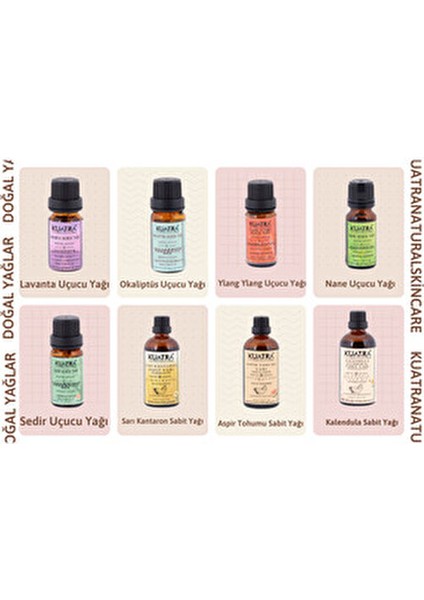 Okaliptus Uçucu Yağı Cilt Bakımı İçin 10 ml Unisex Kullanıma Uygun fırsatları