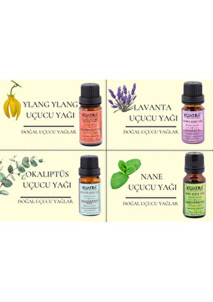 Okaliptus Uçucu Yağı Cilt Bakımı İçin 10 ml Unisex Kullanıma Uygun indirimleri