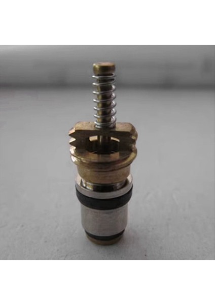 10PC Klima Şarjı Soğuk Orta Arayüz Valf Çekirdeği Citroen Elysee Volvo Beverly Peugeot Picasso (Yurt Dışından) fiyatları