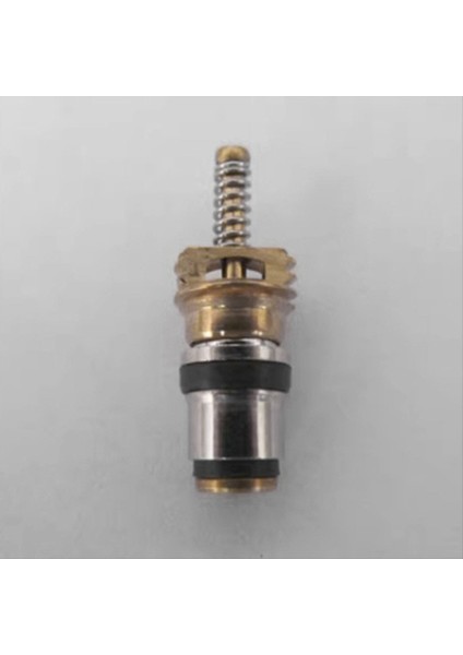 10PC Klima Şarjı Soğuk Orta Arayüz Valf Çekirdeği Citroen Elysee Volvo Beverly Peugeot Picasso (Yurt Dışından) fırsatları