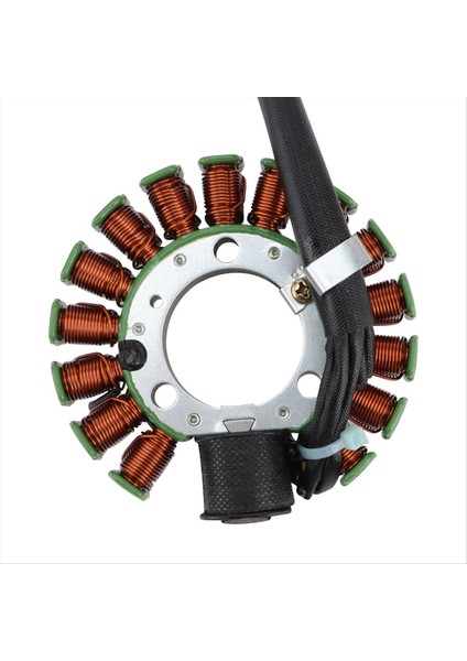 Yamaha Için Motosiklet Magneto Stator 4JG-85510-01 TTR225 XT225 Serow 225 ST225 Bronco 225 Motosiklet Parçaları (Yurt Dışından) modelleri