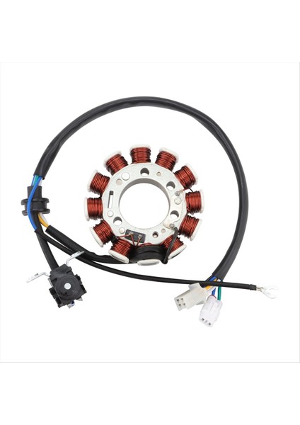 3D6-H1410-00 Yamaha Için Stator XT125 XT125R XT125X 2005-2006 Xt 125 125R 125X 2005 2006 Motosiklet Aksesuarları (Yurt Dışından)