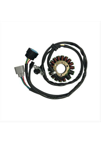 Honda Trx 450R 450R 2006 2007 2008 2009 Için Motosiklet Stator Bobini 31120-HP1-601 Motosiklet Aksesuarları (Yurt Dışından) modelleri