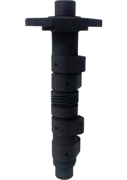 Honda FTR250 CBX250 XLR250 XR250L Motor Parçaları Için Yeni Yüksek Kaliteli Motosiklet Eksantrik Mili Montajı 14100-KR6-000 (Yurt Dışından) fırsatları