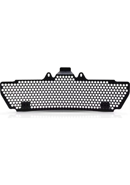 Mv Agusta Brutale 800 2016-2023 Dragster 800/800RR Turismo VELOCE800 Için Motosiklet Radyatör ve Yağ Soğutucu Koruması (Yurt Dışından) fiyatları