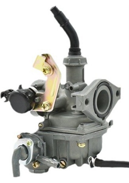 DY100 Motor Üç Tekerlekli Bisiklet 110 Tipi Karbüratör Için PZ19 Motosiklet Karbüratör Parçaları (Yurt Dışından) fiyatları