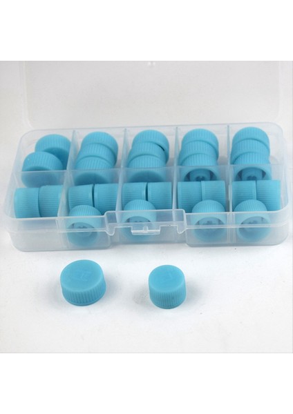 30 Pcs/set Otomatik Klima Parçası Araç Tozu Kapak Valfi Çekirdek Kapak Yüksek Düşük Yan Port Kapak Araç Yüksek Düşük Basınçlı (Yurt Dışından) fırsatları