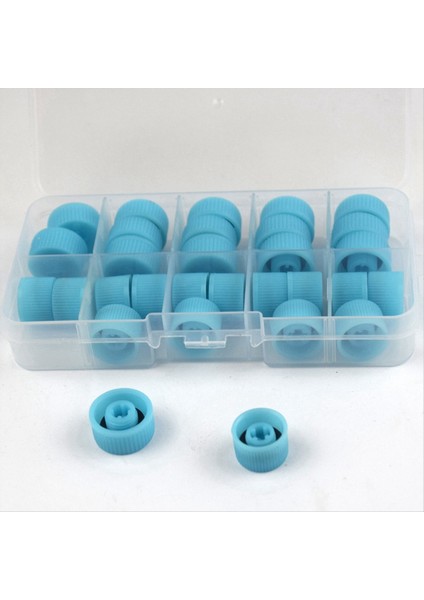 30 Pcs/set Otomatik Klima Parçası Araç Tozu Kapak Valfi Çekirdek Kapak Yüksek Düşük Yan Port Kapak Araç Yüksek Düşük Basınçlı (Yurt Dışından) indirimleri