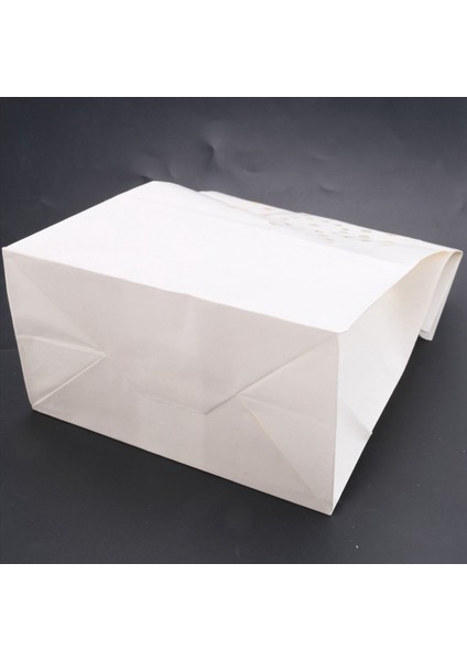 150 Pcs Beyaz Lüminer Çantalar Alev Dayanıklı Mum Çantalar Düğün Parti Cadılar Bayramı Noel Için Güneş Tasarımı Armatürleri (Yurt Dışından) indirimleri