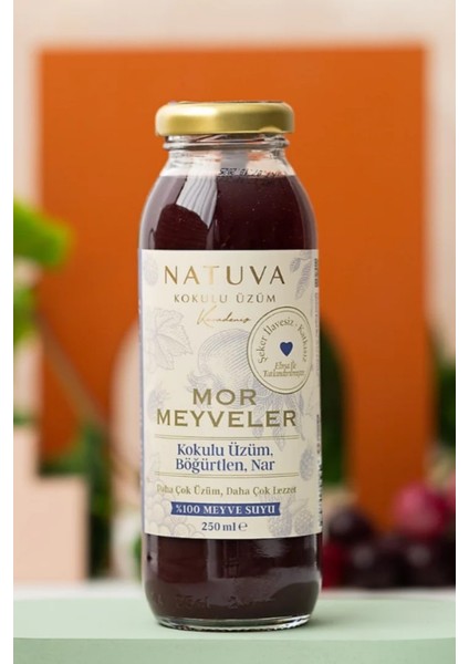 Mor Meyveler % 100 Meyve Suyu 250 ml ( Kokulu Üzüm, Böğürtlen, Nar ) modelleri