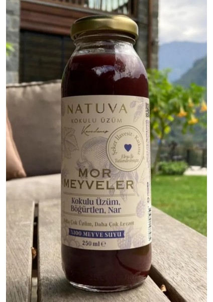 Mor Meyveler % 100 Meyve Suyu 250 ml ( Kokulu Üzüm, Böğürtlen, Nar ) fırsatları
