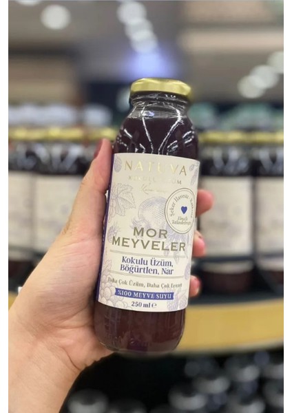 Mor Meyveler % 100 Meyve Suyu 250 ml ( Kokulu Üzüm, Böğürtlen, Nar ) indirimleri