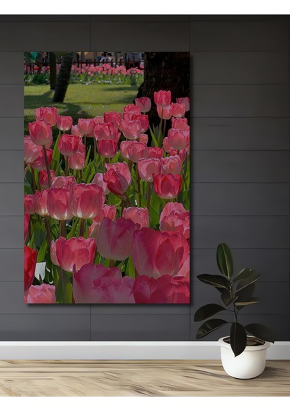 Pembe Lale Bahçesi Yağlı Boya Görünümlü Ahşap Dekoratif Tablo Dikdörtgen Tablo