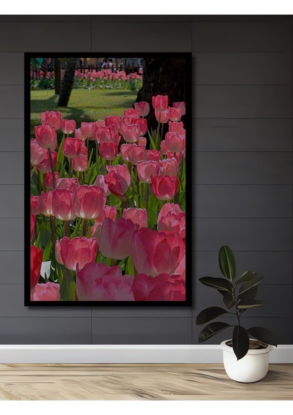 Pembe Lale Bahçesi Yağlı Boya Görünümlü Ahşap Dekoratif Tablo Dikdörtgen Tablo fiyatları