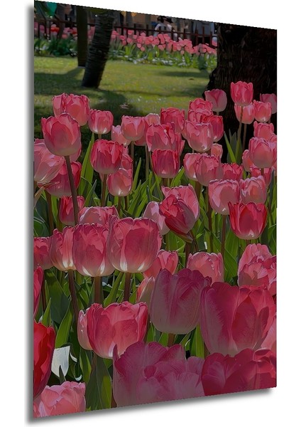 Pembe Lale Bahçesi Yağlı Boya Görünümlü Ahşap Dekoratif Tablo Dikdörtgen Tablo fırsatları