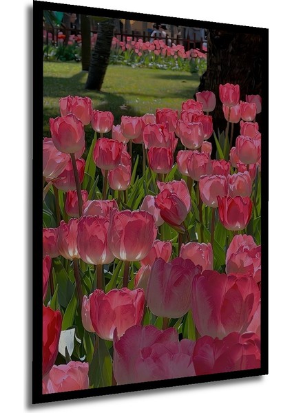 Pembe Lale Bahçesi Yağlı Boya Görünümlü Ahşap Dekoratif Tablo Dikdörtgen Tablo