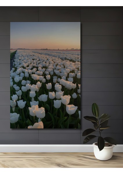 Beyaz Lale Tarlası Yağlı Boya Görünümlü Ahşap Dekoratif Tablo Dikdörtgen Tablo
