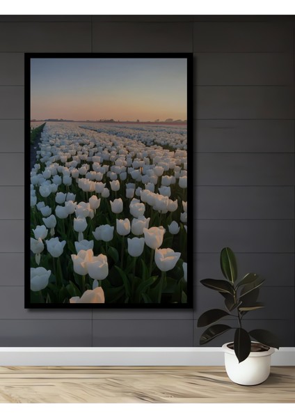 Beyaz Lale Tarlası Yağlı Boya Görünümlü Ahşap Dekoratif Tablo Dikdörtgen Tablo fiyatları