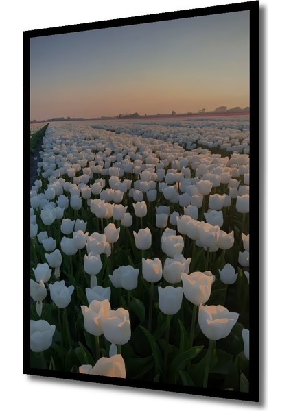 Beyaz Lale Tarlası Yağlı Boya Görünümlü Ahşap Dekoratif Tablo Dikdörtgen Tablo indirimleri