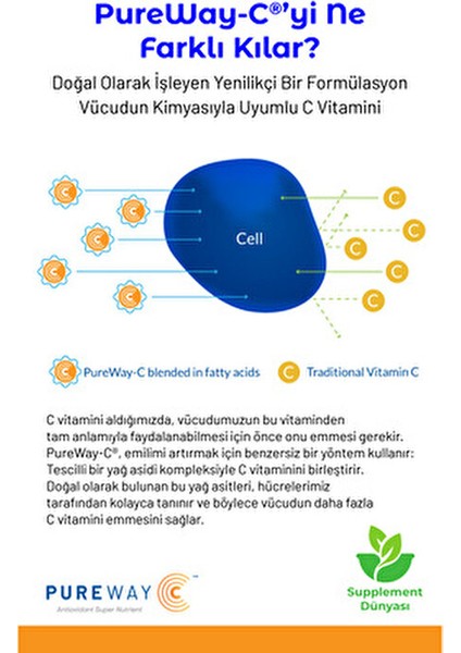MASC Pureway C Vitamin Takviyesi 30 Kapsül Yüksek Biyoyararlanımlı Formül